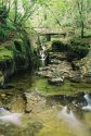 Various images from Ireland