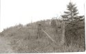 Fence