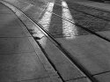 Sun on the rails