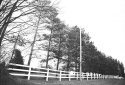 White fence