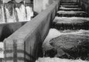 Fishway