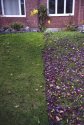 The Pettiness of Neighbours