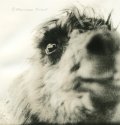 are you looking at me?
