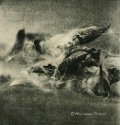 fallen angels