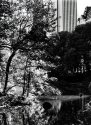 walking downtown through the park