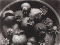 Pomegranates, Old and New