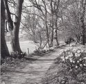 Spring in Solihull