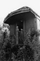 Unpreserved Rail Car