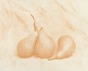 Pears