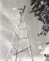 Marion's Windmill