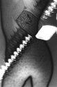 Man Ray Rip Off...