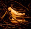Nude in Twisted Metal