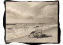 Sun_Drenched_Torsos_Plat-_P_copy