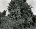 Bucks County, 2005-- CfEVA #6