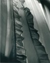 Window Shears