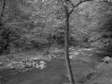 Stream