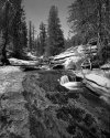 Trout Creek - Golden Trout Wilderness