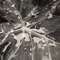 Wet Leaf