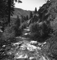 Boise River