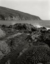 Populonia seascape (Tuscany)