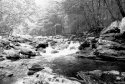 Mountain Creek