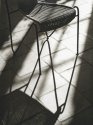Printed: Chairs / Orangerie