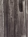 Siding