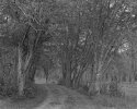 Road, Norris Lake Park, TN
