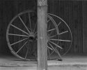 Wagon Wheels