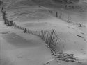 Derelict fence, Walney Island.