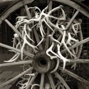 Antlers and Wheel