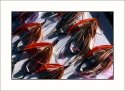 Spey Flies