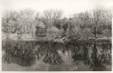 River reflections