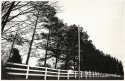 White fence