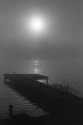 Fog 2