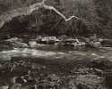 Slippery Rock Creek #3
