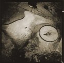 Lith Prints