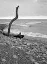 Beaches, Toronto