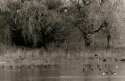 River life