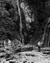 small-img004