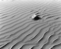sm-img012