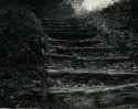 Steps From The River