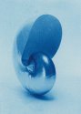 Nautilus