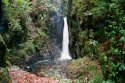 Stanley Gyll Force