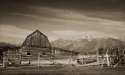 Some of my Yellowstone and Grand Teton trip