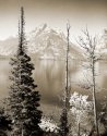 Some of my Yellowstone and Grand Teton trip