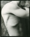 Felipe, Torso, Side View