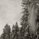 Snowfall