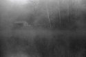 Frost fog ...