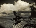 Birch Bay pinhole #2